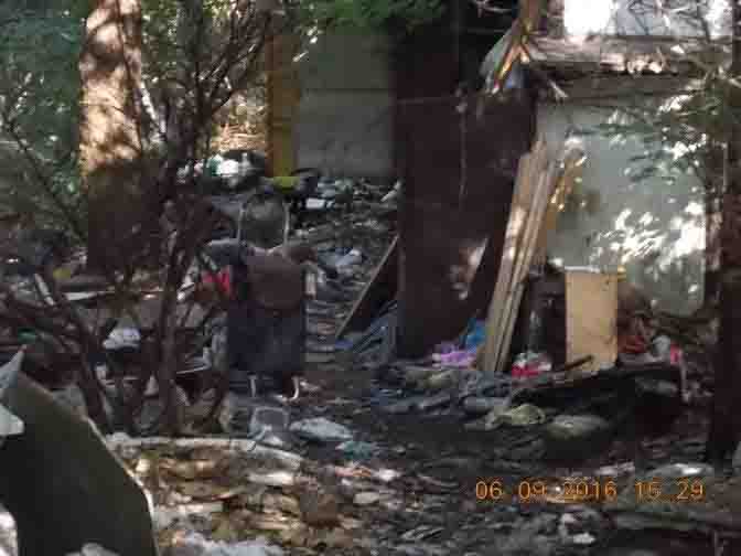 2016 09 Bluszczanska 01