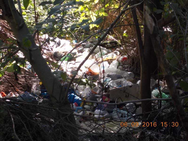 2016 09 Bluszczanska 02