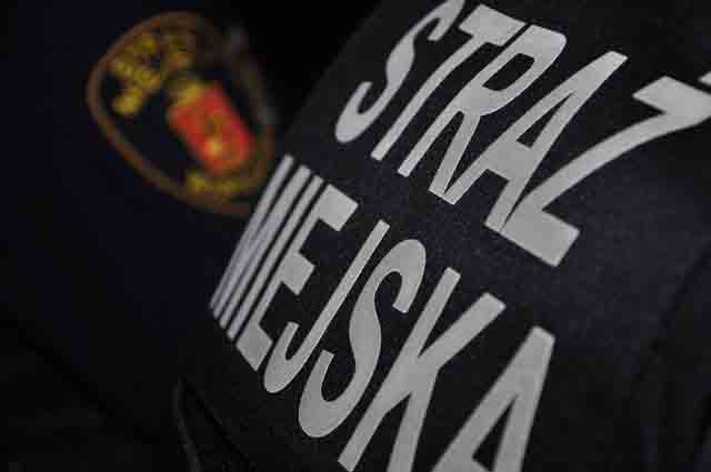 2016 10 okradl spiacego