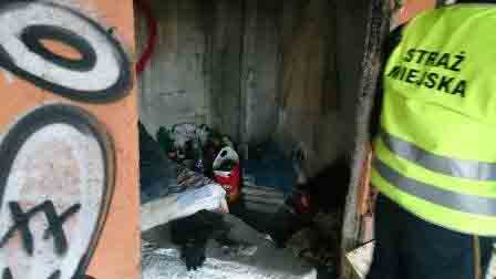 2017 01 dzialania bezdomnym