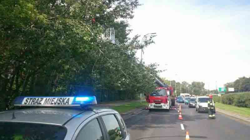 2017 08 burza wal miedzeszynski 01