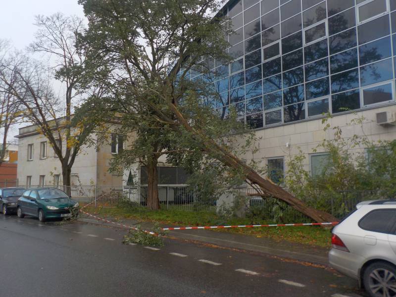 2017 10 wichura okopowa