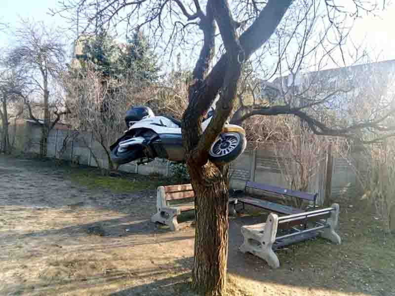 2019 03 skuter drzewo