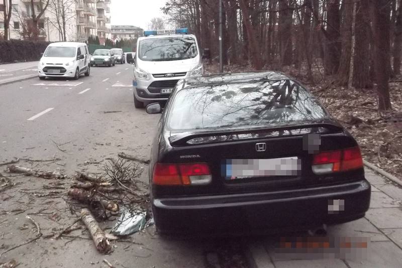 2019 03 wiatrolom bielany 02