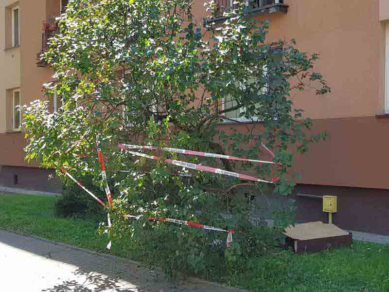 2019 08 meble miedzynarodowa