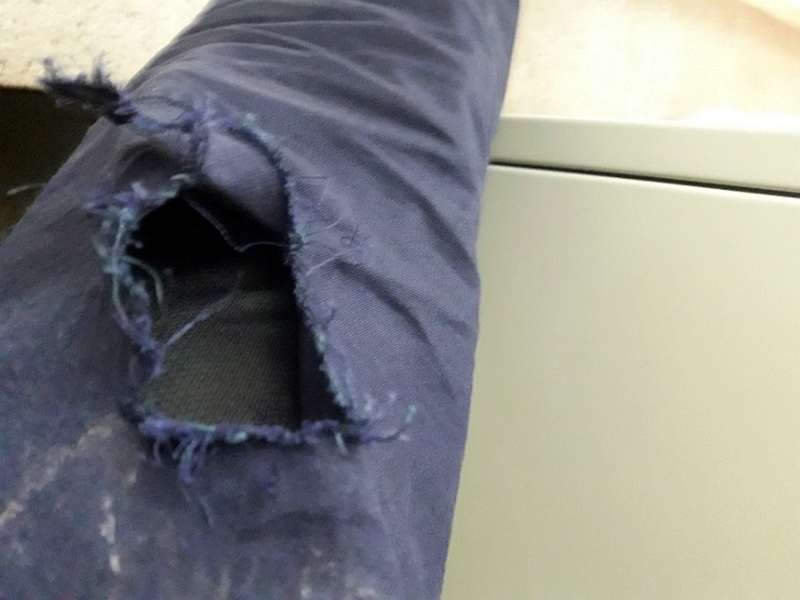 2019 10 pogryzienie 01