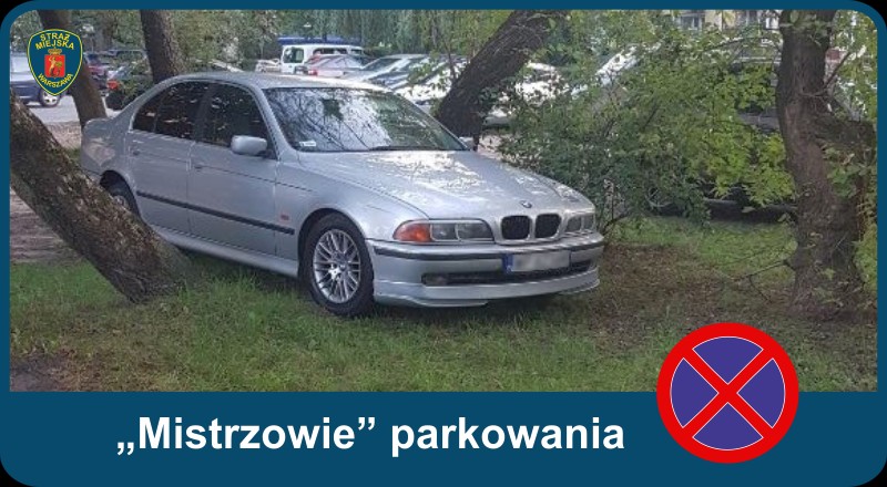 2020 10 mistrzowie parkowania 01