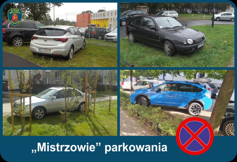 2020 10 mistrzowie parkowania 02