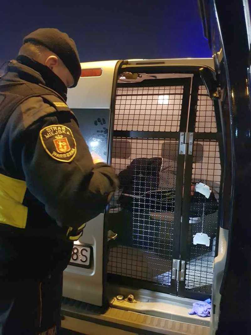 Ujęty mężczyzna w&nbsp;przedziale przewozowym radiowozu