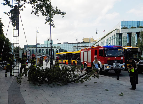 konarstażniczkastrażacy 4