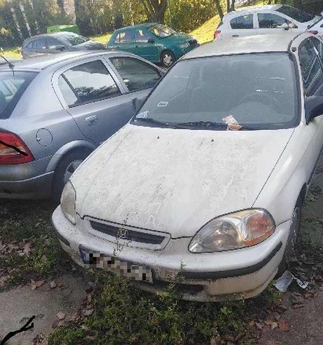 Zdjęcie z&nbsp;interwencji: jasna honda stojąca na parkingu, wokół niej rosnące chwasty, za wycieraczkami stare ulotki reklamowe.