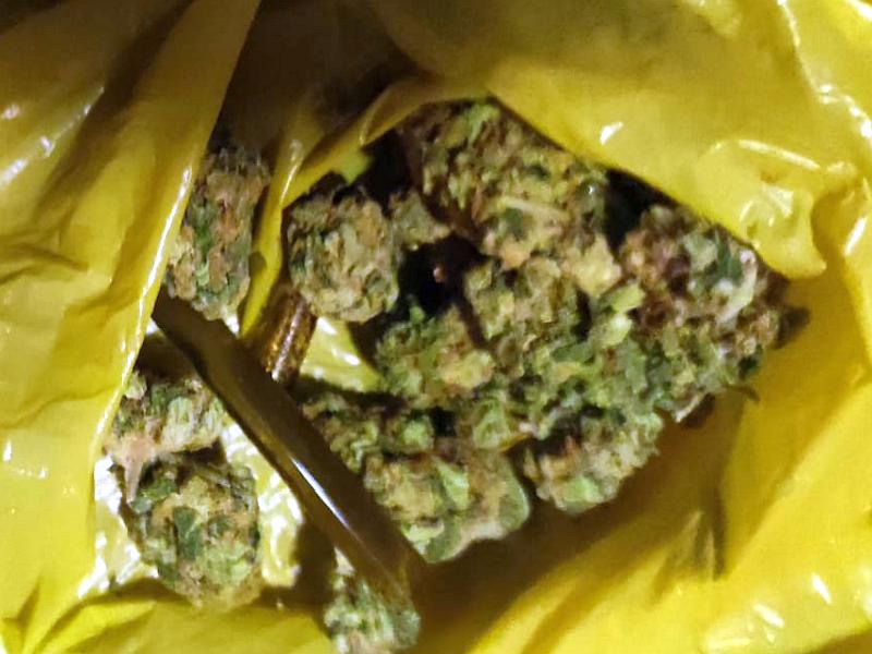 Zdjęcie z&nbsp;interwencji: zbliżenie na zielonobrunatny susz roślinny w&nbsp;żółtej torebce foliowej.