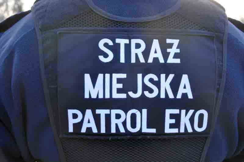 Zdjęcie ilustracyjne: strażnik w kamizelce służbowej z napisem "Straż miejska patrol eko" na plecach.