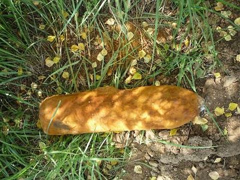 Niewybuch leżący na trawie. Zdjęcie archiwalne.