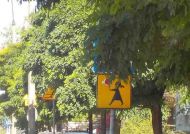 2017_08_bezpieczna_droga_do_szkoly_5