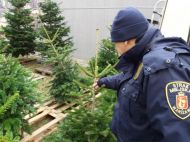 2017_12_kontrole_choinek_02