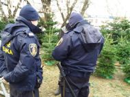 2017_12_kontrole_choinek_03