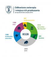 2018_09_ekopatrol_zwierzeta_infografika