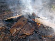 2018_09_plyty_wal_02