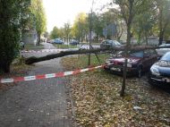 2018_10_wola_konar_00