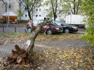 2018_10_wola_konar_01