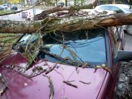 2018_10_wola_konar_04