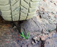 2018_11_parkowanie_zielen_01