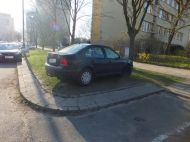 2018_11_parkowanie_zielen_01