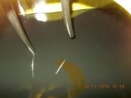 2018_12_warsztaty_piece_06