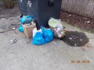 2019_03_wesola_szambo_02