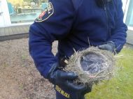 2019_04_kosy_wawer_03