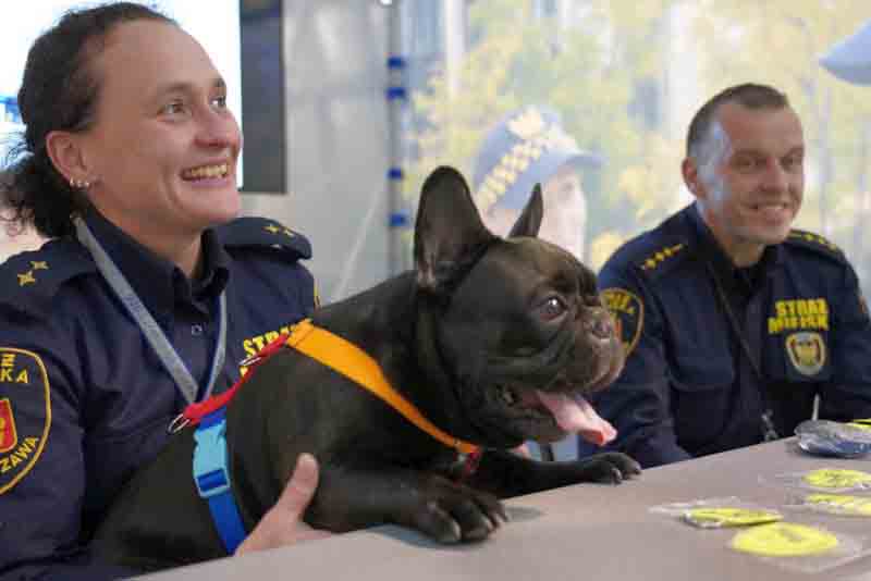 2019 05 targi ursynow 04