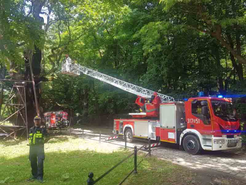 2019 06 dab mieszko 01