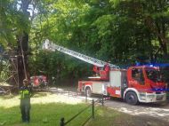 2019_06_dab_mieszko_01