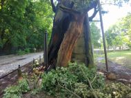 2019_06_dab_mieszko_04