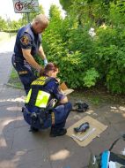 2019_06_padle_ptaki_04