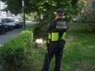 2019_07_paczka_panska_01