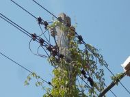 2019_07_slup_koziorozca_02