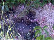 2019_07_slup_koziorozca_03