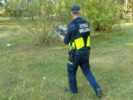 2019_09_jez_wykop_02