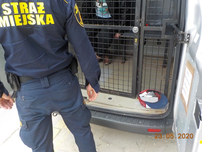 2020 05 narkotyki cynamonowa 01