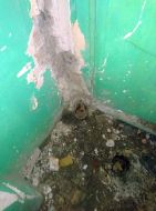 2020_07_strzelecka_dewastacja_03