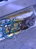 2020_07_strzelecka_dewastacja_06