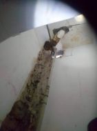 2020_07_strzelecka_dewastacja_08