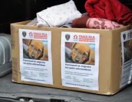 2021_05_paka_dla_szczeniaka_04