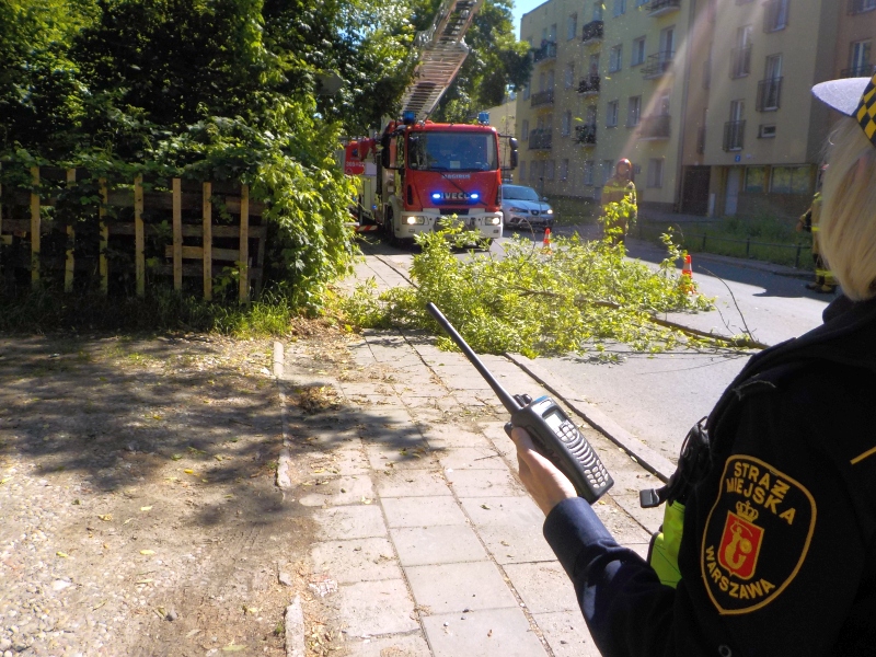 Strażniczka miejska zabezpieczająca miejsce zdarzenia. W tle leżąca na chodniku odłamana gałąź, za nią samochód straży pożarnej.