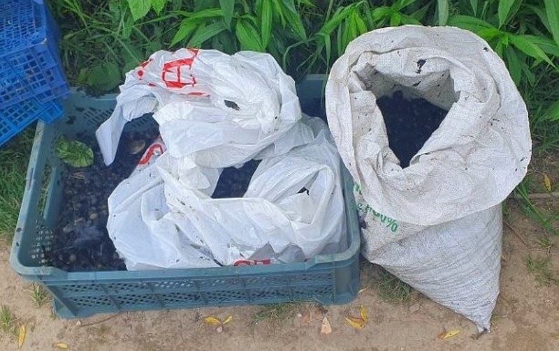 Worki i&nbsp;skrzynka z&nbsp;nielegalnie odłowionymi ślimakami