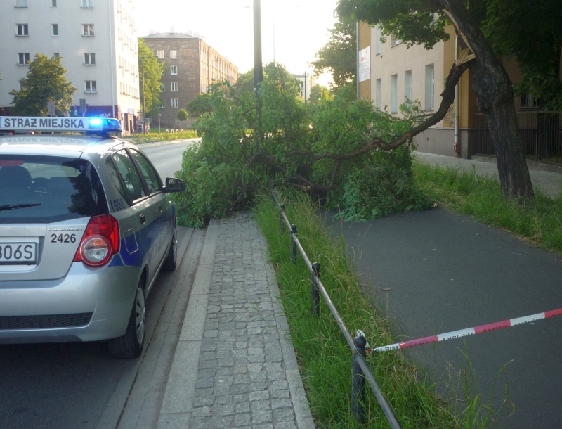 Radiowóz straży miejskiej z&nbsp;włączonymi światłami sygnalizacyjnymi stoi przy złamanym konarze. Ścieżka rowerowa, na której leży złamana gałąź, jest przegrodzona biało-czerwoną taśmą ostrzegawczą z&nbsp;napisem "Straż Miejska".
