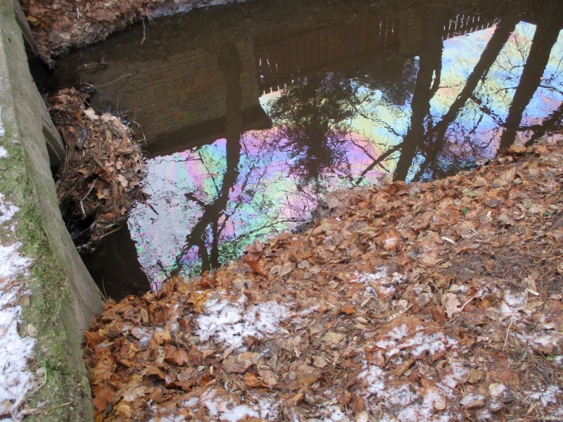 Zdjęcie z&nbsp;interwencji: kanałek w&nbsp;Aninie- wyraźnie widoczna tęczowa powierzchnia ropopochodnej cieczy unosząca się na wodzie.